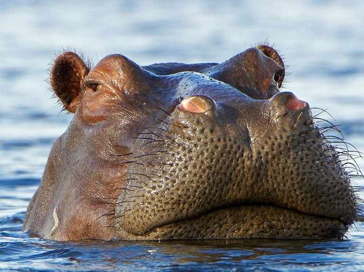 Lake Manyara